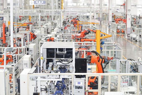 譚旭光 重錘鑿破供應鏈壁壘，開拓工業旅游新藍海